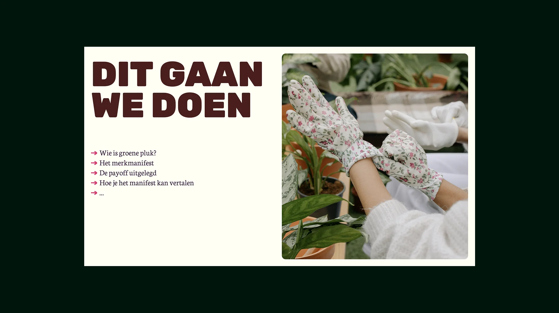 Visual overview of project